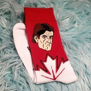 Toronto Maple Leafs BABCOCK socks​